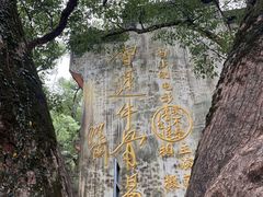 -上坦村