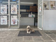 -收获咖啡HARVEST RESERVE(苍山店)