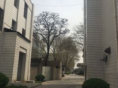 -西安交通大学(雁塔校区)