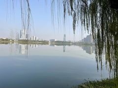 -金银湖国家城市湿地公园