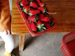 -胜丰草莓采摘园