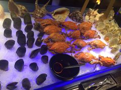 凌璇阁-广州花园酒店-凌璇阁360度高空海鲜自助餐CAROUSEL