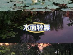 -四海公园(南山区)