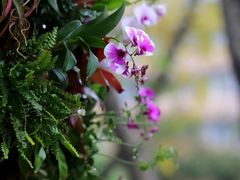 -人民公园(罗湖区)