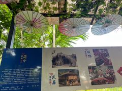 -呀诺达热带雨林