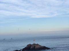 -阿军排档·烧烤