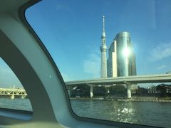 -台场海滨公园船码头