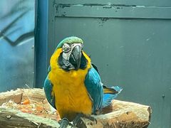 -杭州野生动物世界