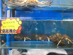 -蚝专家(北滘店)
