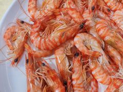 白蝦-老字号蛇口德记烧腊饭店·海鲜加工