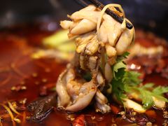 -蛙鱼潭美蛙鱼头火锅(解放碑瑞富广场店)