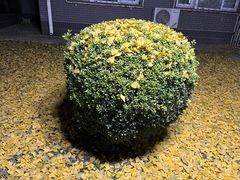-北京理工大学(中关村校区)