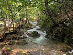-本溪汤沟绿石谷森林公园