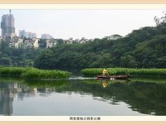 -重庆彩云湖湿地公园