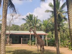 -海南热带野生动植物园