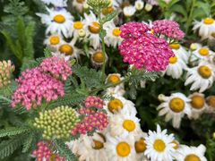 -泸沽湖国家级风景名胜区走婚桥