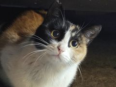 -便利蜂(广安门内大街319号店)