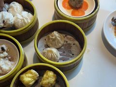 -东方早茶 海鲜•青岛菜(国信体育中心店)