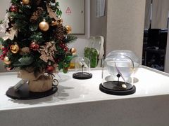 -小豆海棠(嘉兴路店)