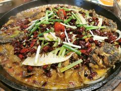 -老板恋上鱼(高新万达店)