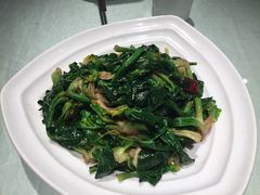 -阿五黄河大鲤鱼(纬三路店)