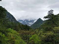 -黄山风景区