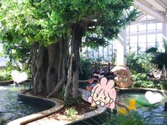 -太白山御龙湾温泉