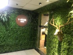 -V-STAR威斯达•高级私人定制