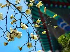 -湛山寺