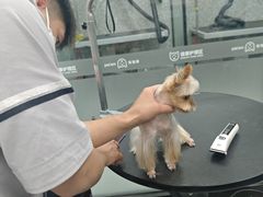-宠物家(长阳店)