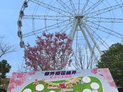 -顾村公园