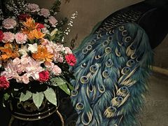 -弦月窗LUNETTE BY AMANDA(复兴路店)