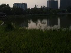 -西海子公园