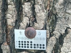 -黑龙江省森林植物园