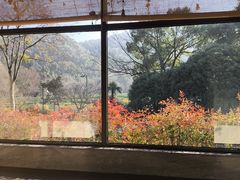 -中国茶叶博物馆(双峰馆区)