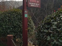 -桃花岭景区