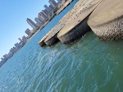 -星海广场