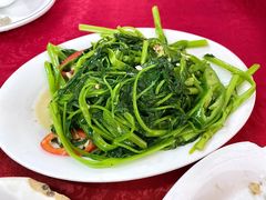 -蛇口康乐快餐鱼仔档(翠苑小区店)