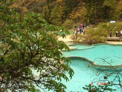 -黄龙山原始森林景区