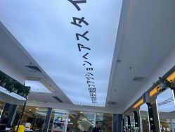 -藤野造型