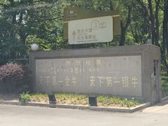 -华西村
