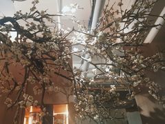 -梅花境(万科店)