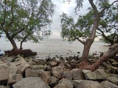 -宝安西湾红树林湿地公园