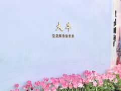 -荷兰花海