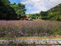 -云峰山自然风景区