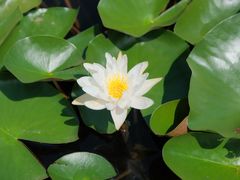 -白鹭湾湿地公园