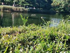 -长白岛森林公园