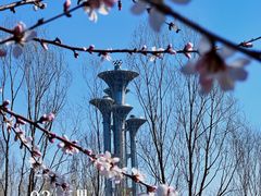 -北京奥林匹克公园