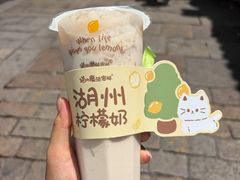 柠檬奶-猫的魔法密林(衣裳街店)