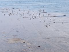 -星海广场